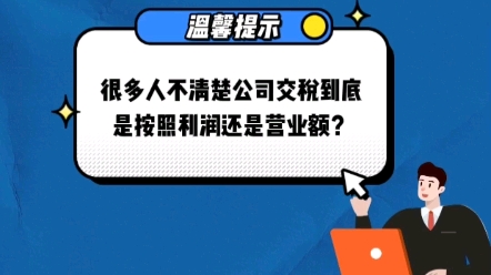 公司交税是按照利润还是营业额呢?哔哩哔哩bilibili