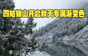 四姑娘山半山彩林半山雪