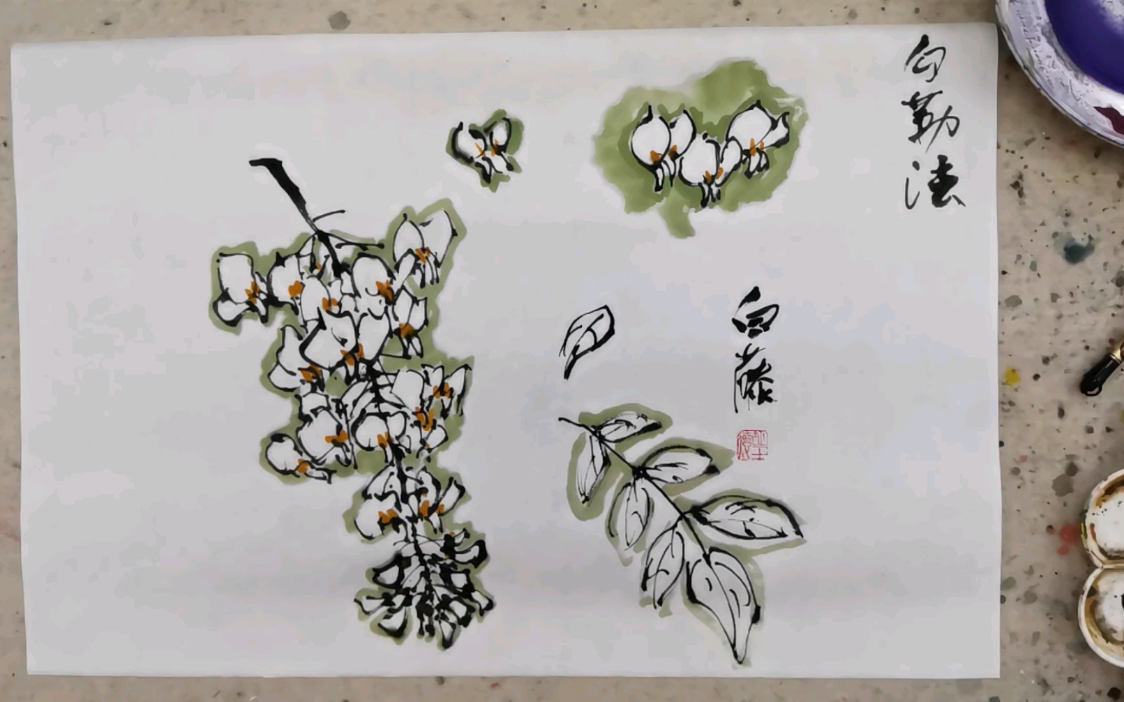 勾勒法画白藤
