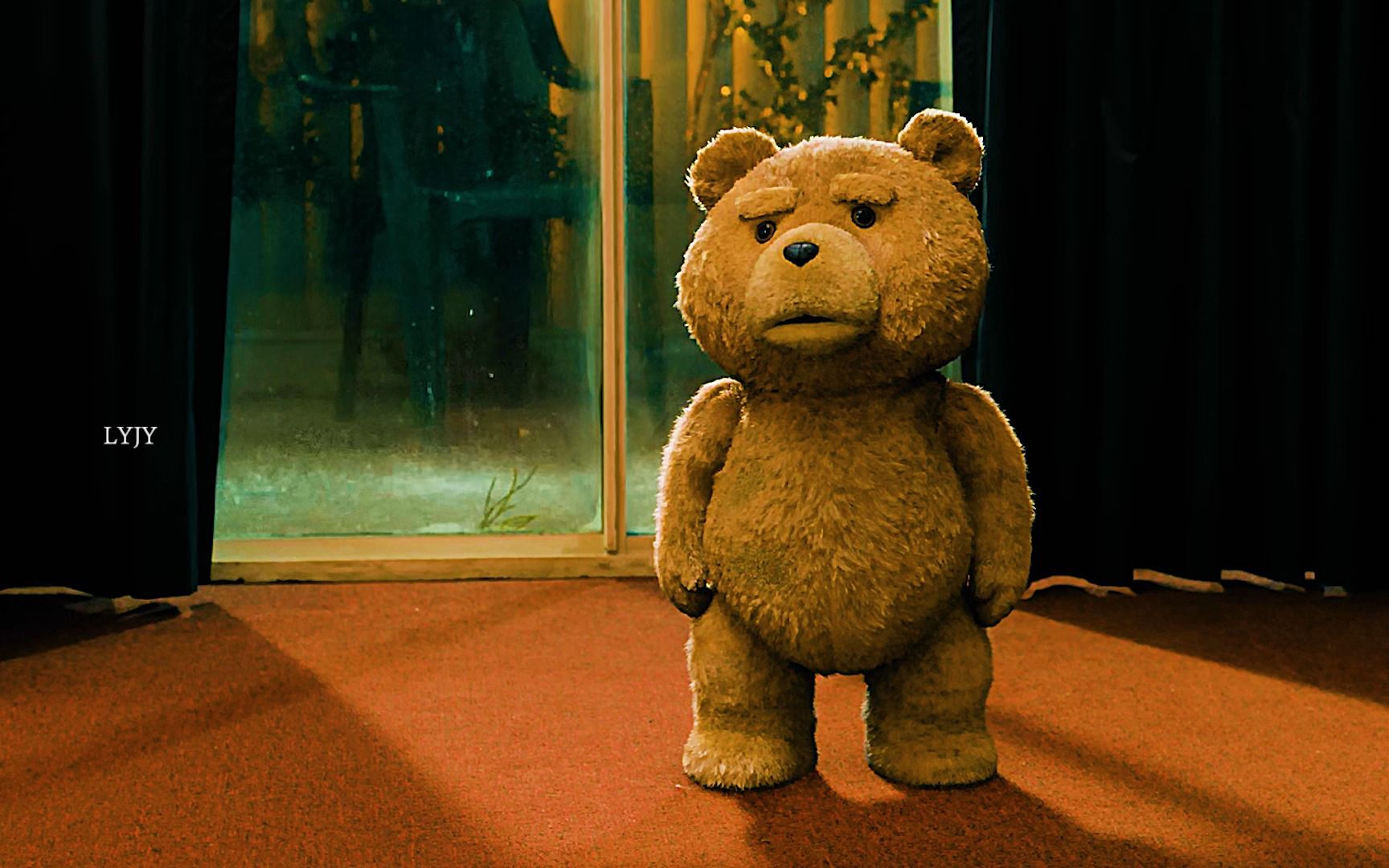 小小泰迪熊打架太凶猛