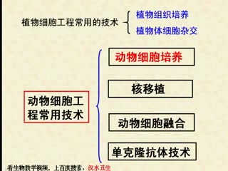 汉水丑生高中生物选修3哔哩哔哩bilibili