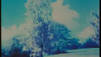 实验短片 / 奥地利导演Kurt Kren 37-78 Tree again（1978）