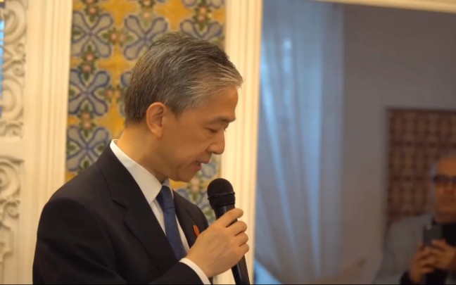 【汪文斌】突尼斯抗疫音乐会