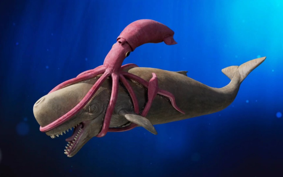 s2⑯大王乌贼 vs 利维坦鲸/梅尔维尔鲸