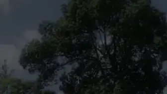 空境