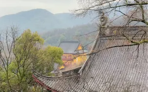 杭州灵隐寺｜遇见即是上上签