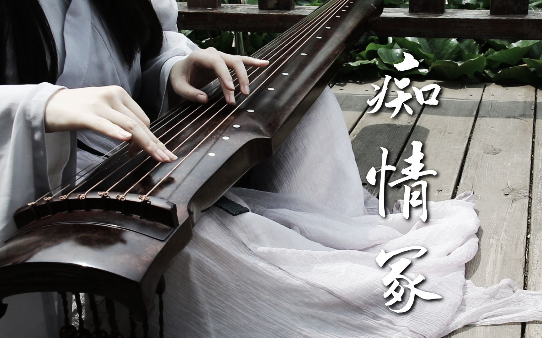 【古琴】《痴情冢》夏日荷塘清凉版