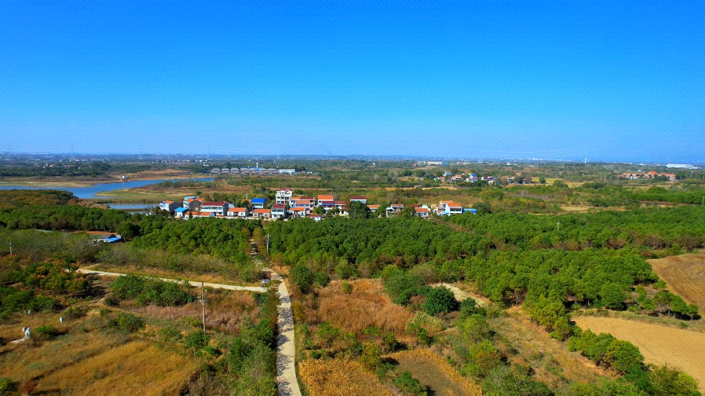 湖北省孝感市孝南区西河镇徐家岗