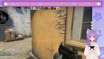 和有毒的歪果仁一起爆笑csgo