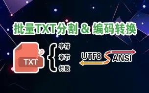 Download Video: 批量Txt文本分割 & 编码转换工具使用教程