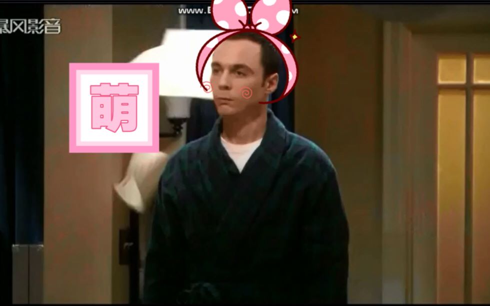 [图]我是不是你最爱的sheldon，你为什么不说话