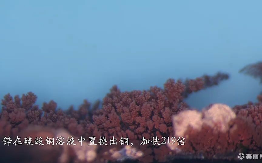 [图][高清_720P]_美丽化学（24集全）_P3_金属置换2