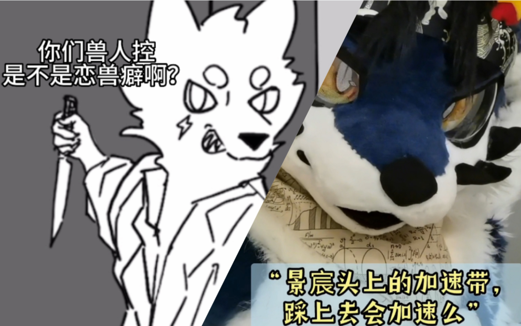 【furry接力】如何一句话激怒别人哔哩哔哩bilibili