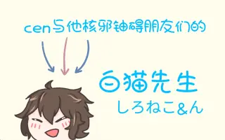 白猫先生 搜索结果 哔哩哔哩 Bilibili