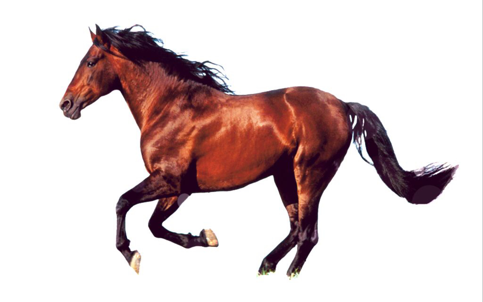 【dynamix】 red horse massacre Ω手元_哔哩哔哩 (゜-゜)つロ 干杯