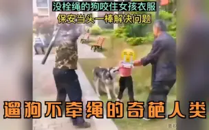 Video herunterladen: 遛狗却不牵绳的奇葩人类，暴躁大爷上去就一棍子：我绝不惯着他