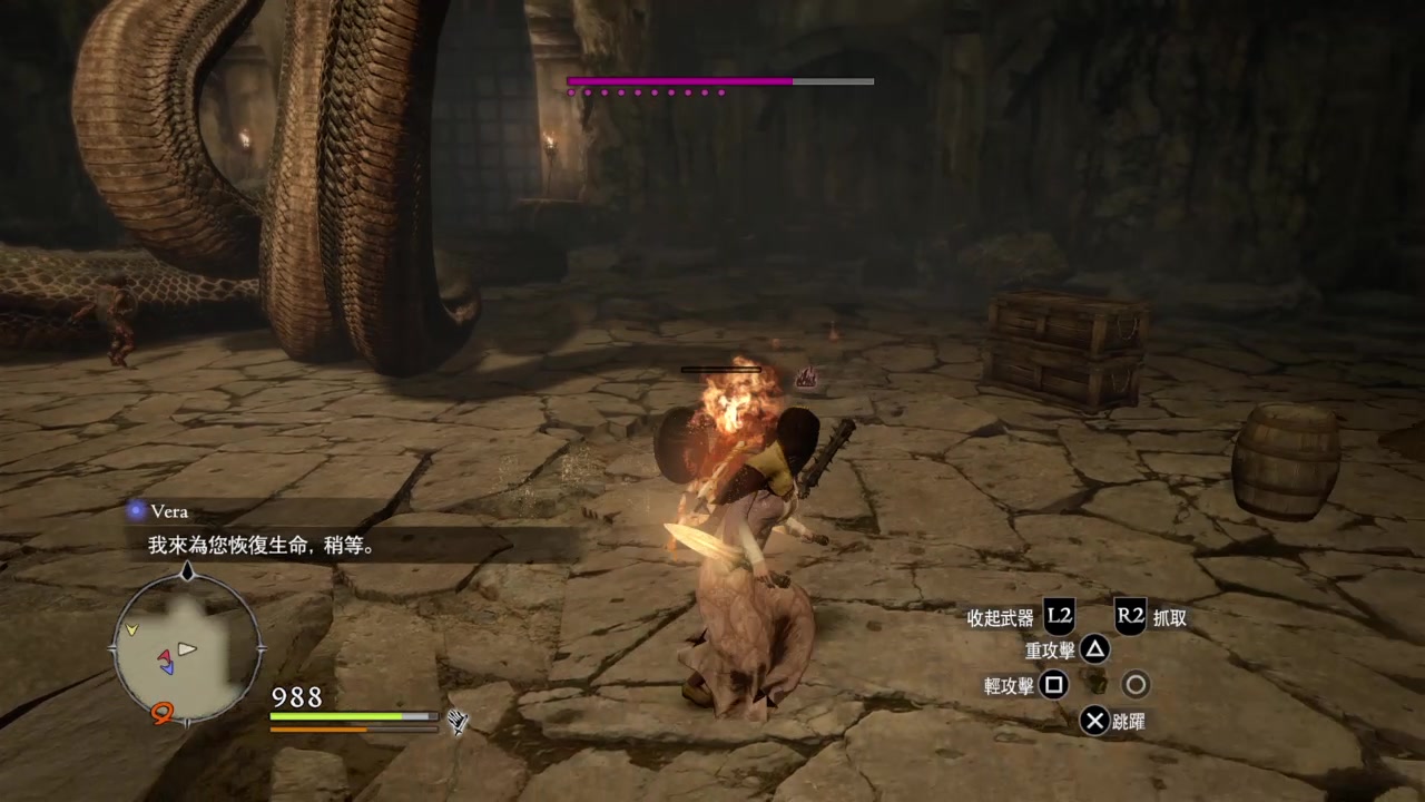 [图]Dragon's Dogma Dark Arisen 龙之信条黑暗觉者 多头蛇