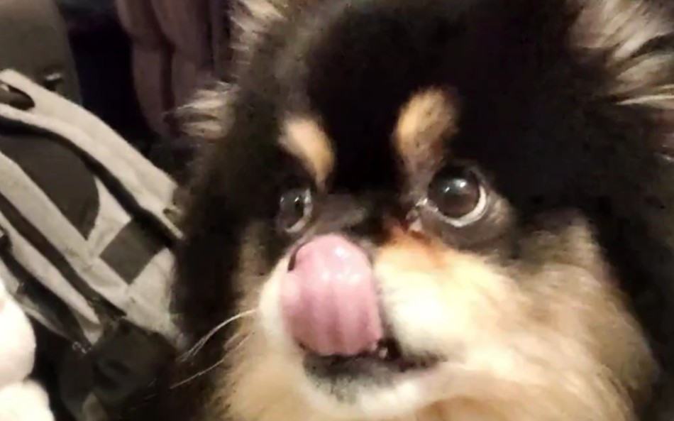 [图]He was enjoying the popcorn，until the end.😅😅😅