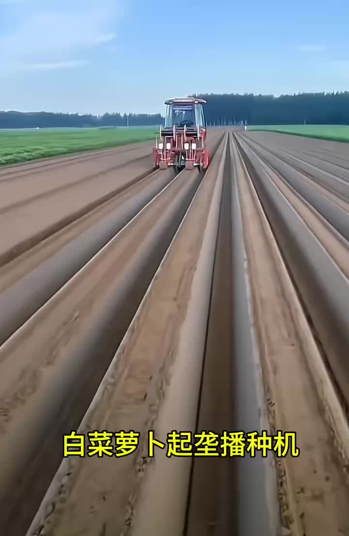 白菜萝卜起垄播种机设计合理,易于操作,提高生产效率