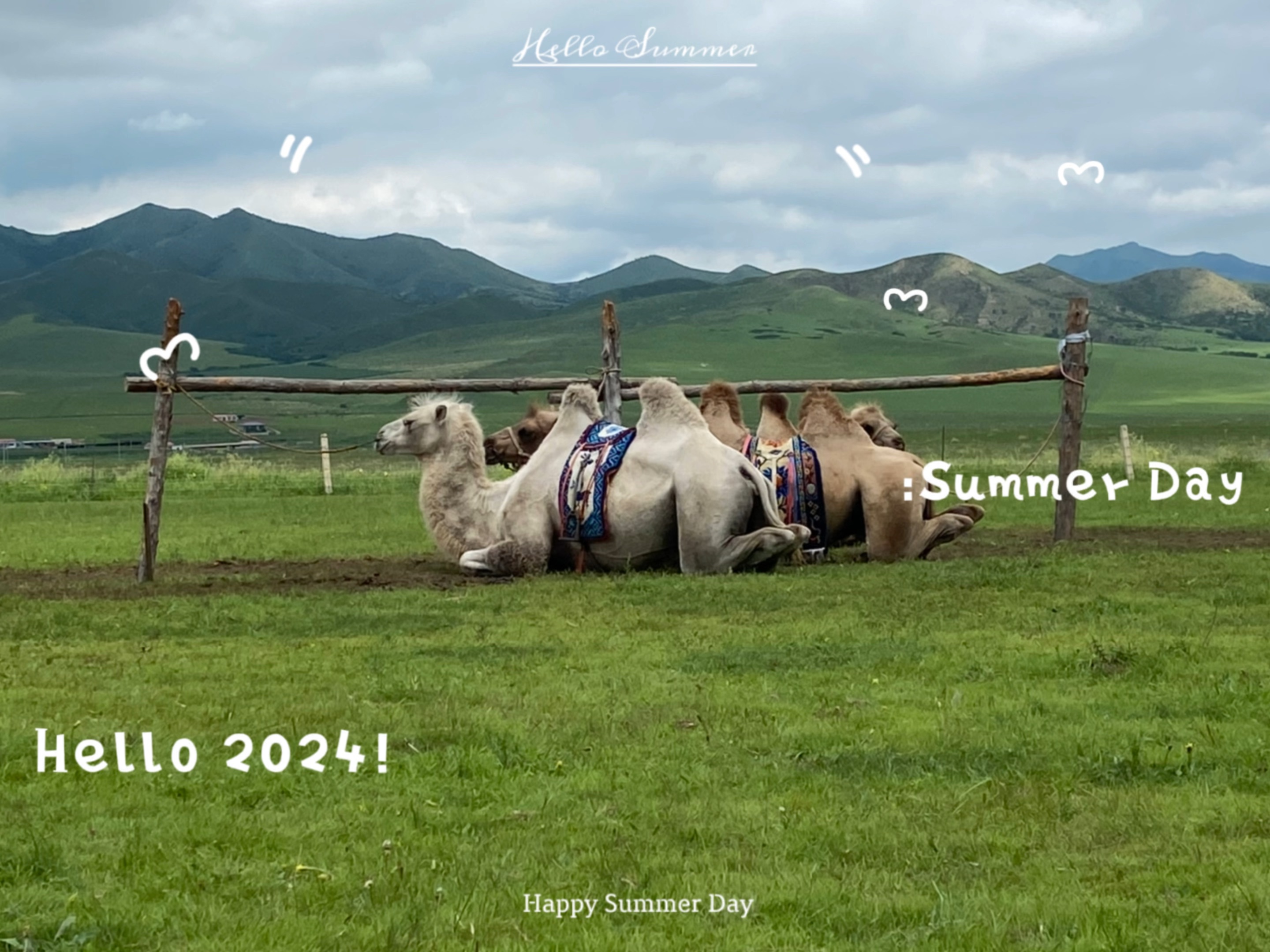 给骆驼一根草吃 它摇了摇头