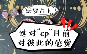 Download Video: 【占卜】这对「cp」当下对彼此的感觉