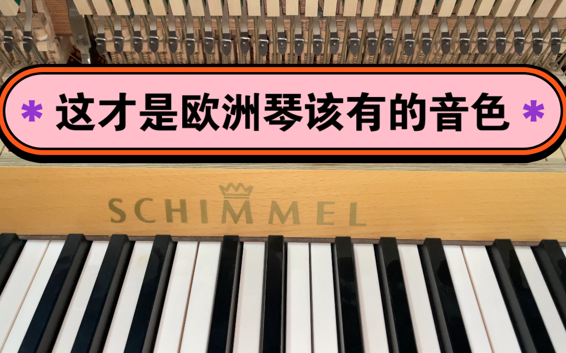 德国原产疏密尔钢琴SCHIMMEL C120顶配裸琴实拍哔哩哔哩bilibili