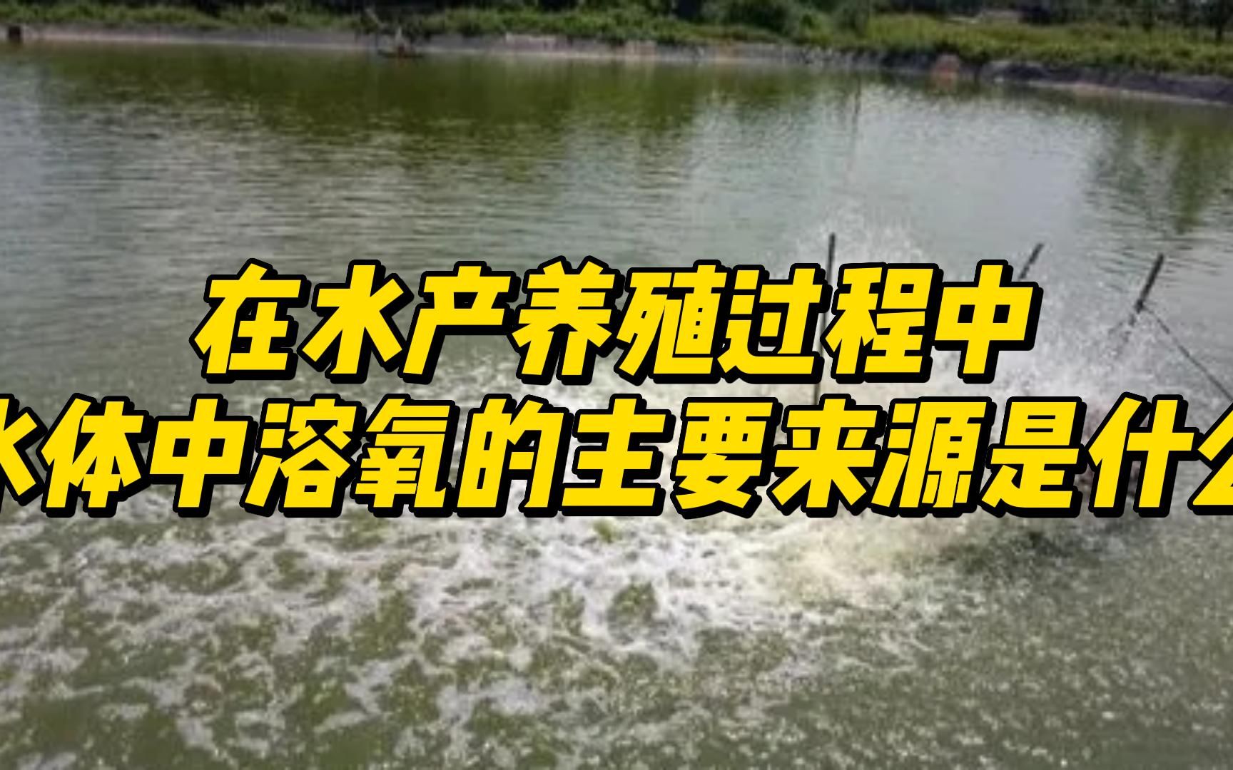 在水产养殖过程中水体中溶氧的主要来源是什么?哔哩哔哩bilibili