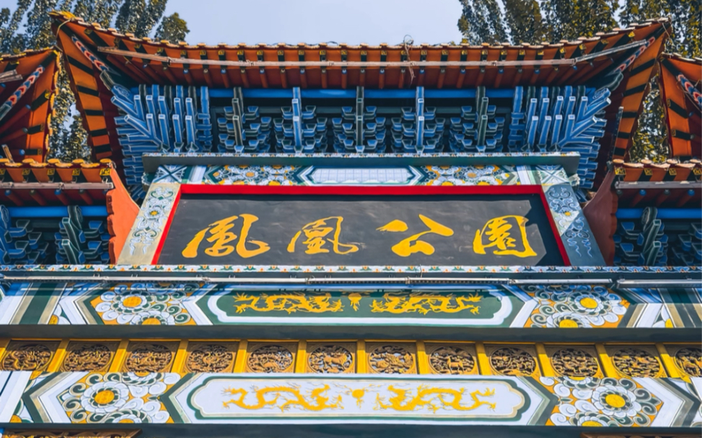 秋日凤凰公园,lightroom调色.