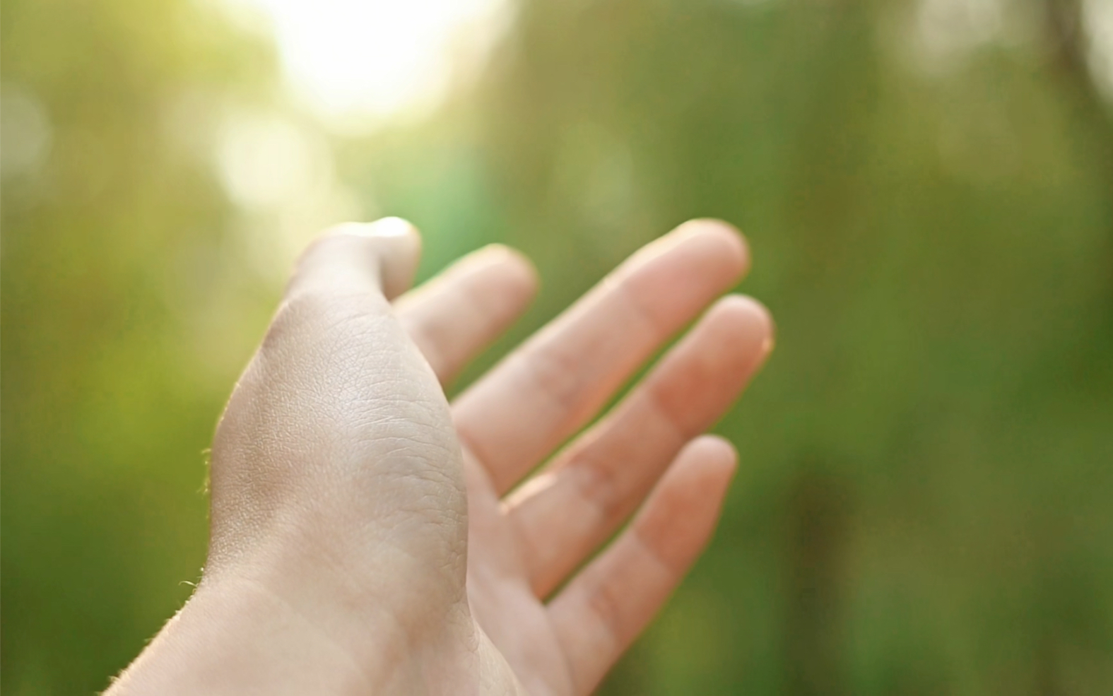 "把风握在手里 递给你"