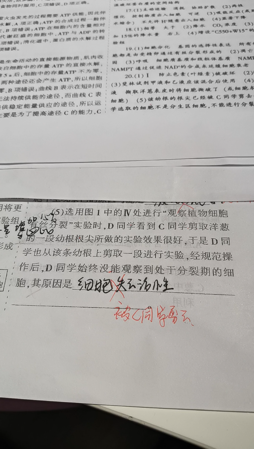 [图]C同学你放学别走