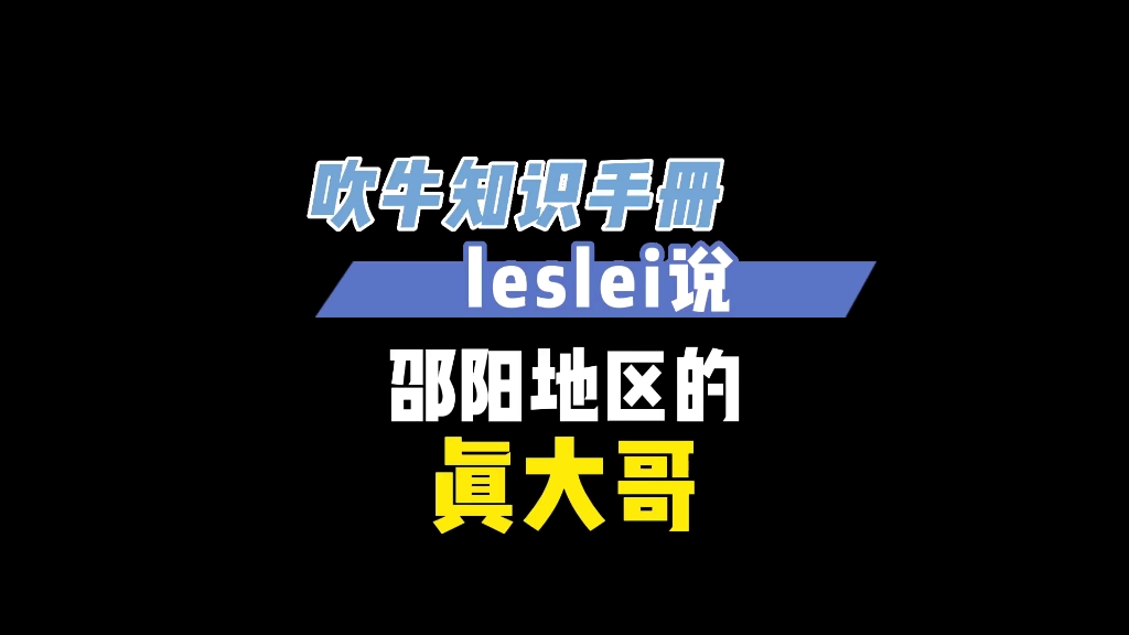 邵阳地区真大哥之小弟翻身当大哥传哔哩哔哩bilibili