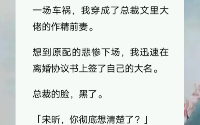 一场车祸,我穿成了总裁文里大佬的作精前妻.想到原配的悲惨下场,我迅速在离婚协议书上签了自己的大名.哔哩哔哩bilibili