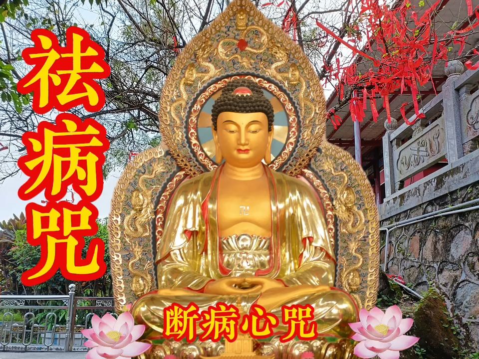 佛歌曲|断病心咒《祛病咒》百病消除,健康长寿.哔哩哔哩bilibili