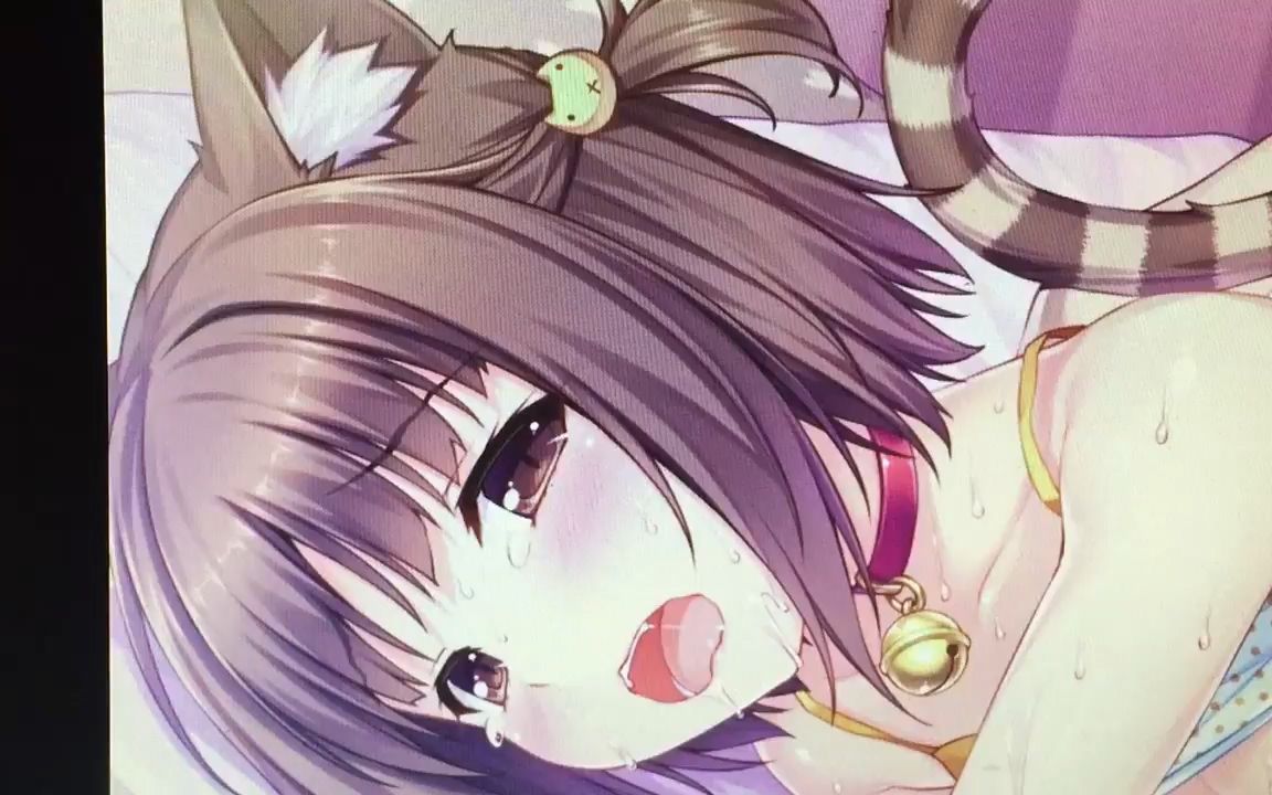 [图]NEKOPARA vol.2动态立绘