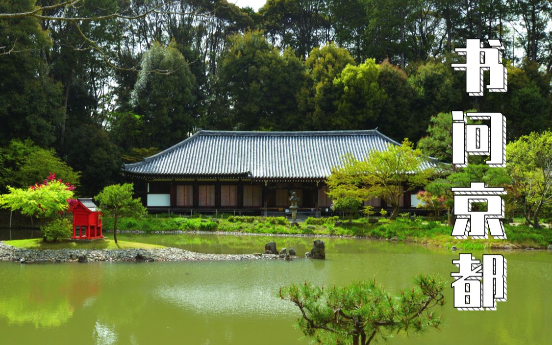苏枕书春日游净琉璃寺