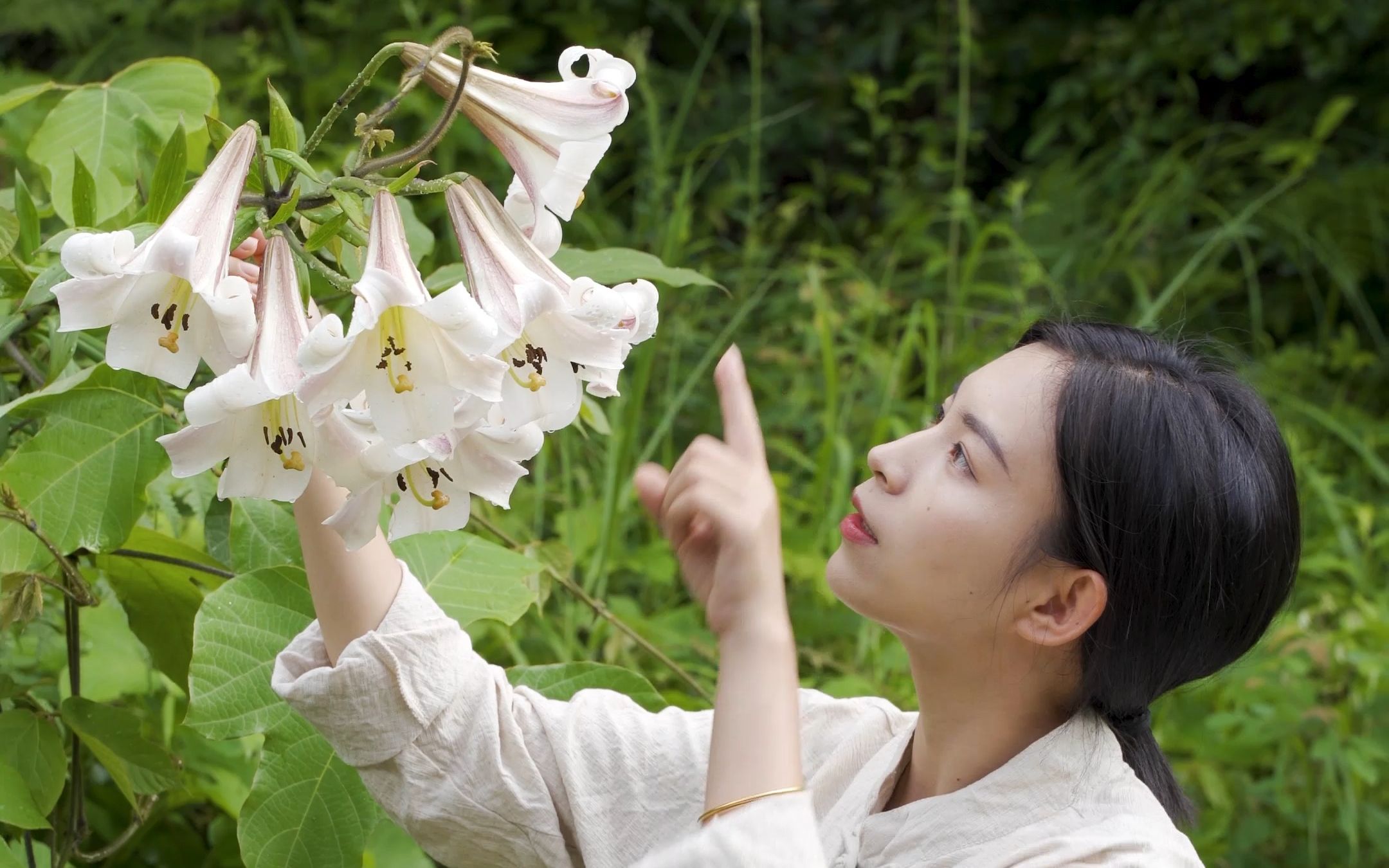 [图]野百合的花朵洁白、芳香，它象征着纯洁，从古至今也代表着百年好合、心心相印！