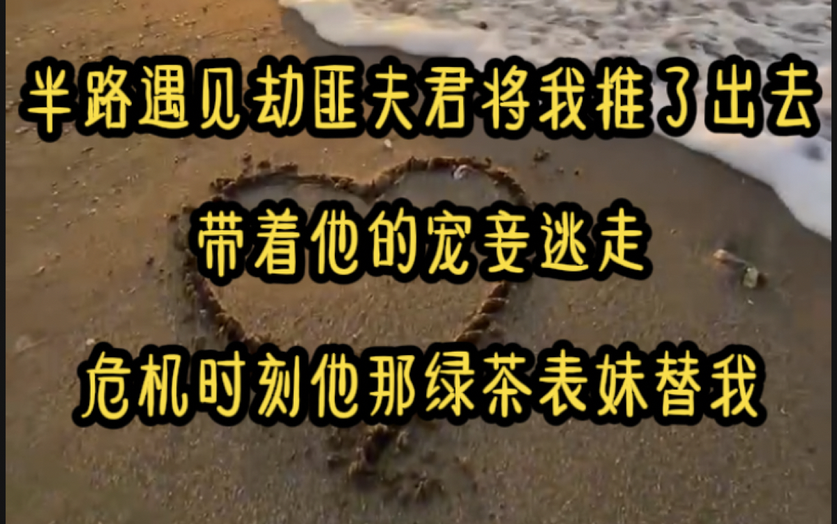 [图]半路遇见劫匪夫君将我推了出去，带着他的宠妾逃走，危机时刻他那绿茶表妹替我挡了一刀。