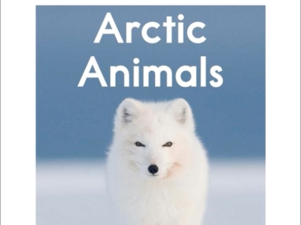 e-01arctic animals