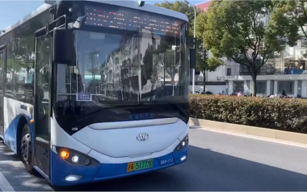 【"新"车慢递】【有亿点淼】(bywn114514&随便取个名就完事了的生日作