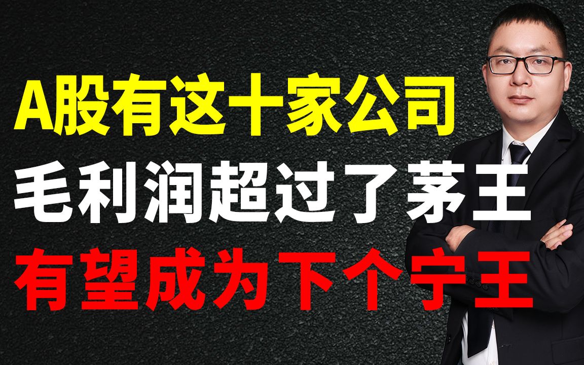 A股有这十家公司,毛利润超过了茅王,有望成为下个宁王哔哩哔哩bilibili