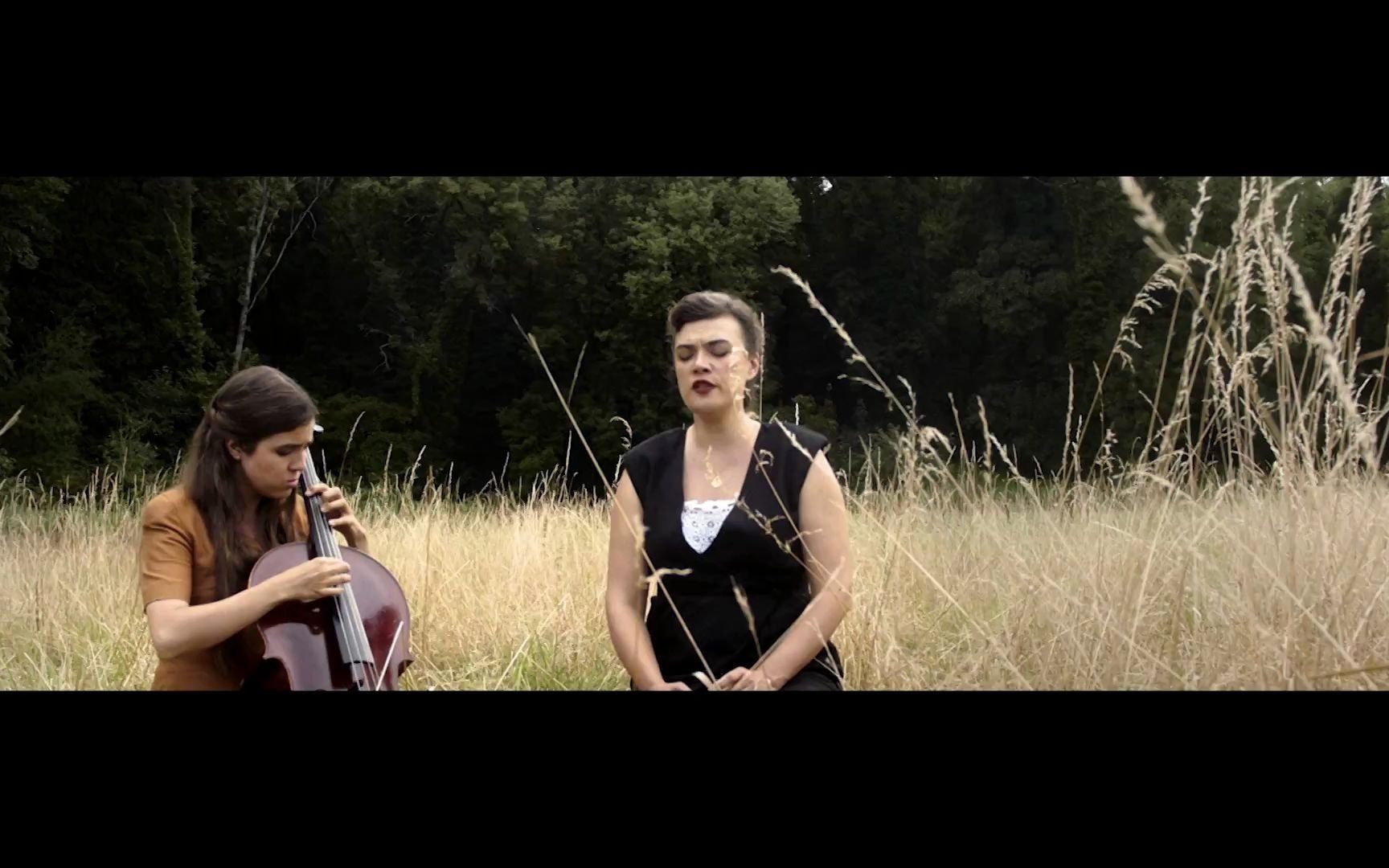 【birds on a wire】la jeunesse des morts