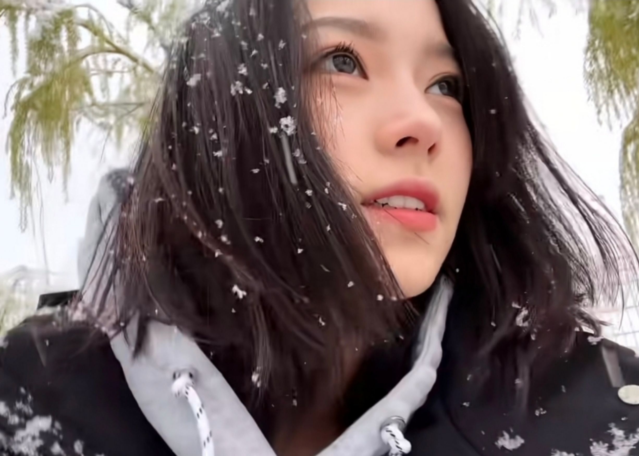 [图]《顿啦 爱你》「望着天下起了雪 满天的雪花是那么浪漫」〖Hi-Res无损〗