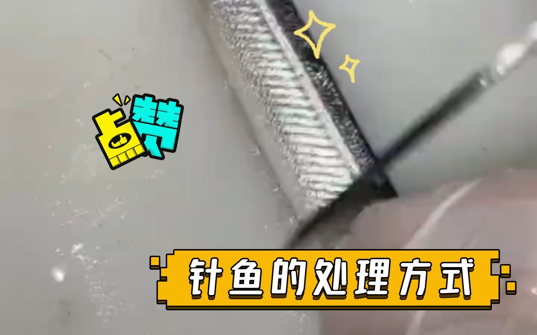 针鱼的处理方式哔哩哔哩bilibili