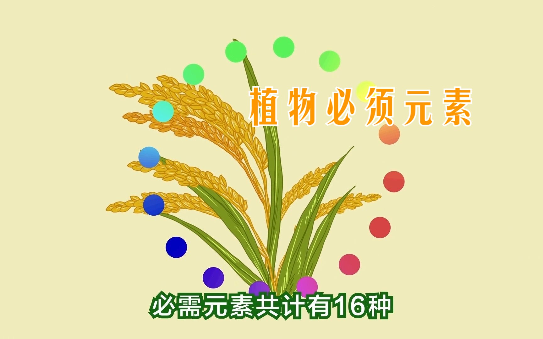 【三农词条】植物必需元素哔哩哔哩bilibili