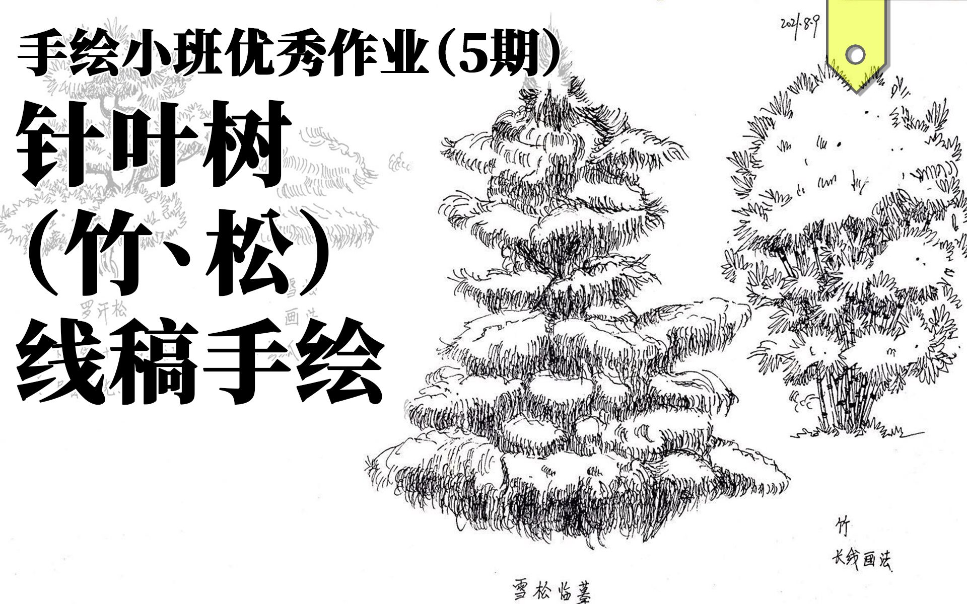 【景观手绘作业本】植物手绘里最让人头疼的针叶树练习,请跟上(轻筑学社)哔哩哔哩bilibili