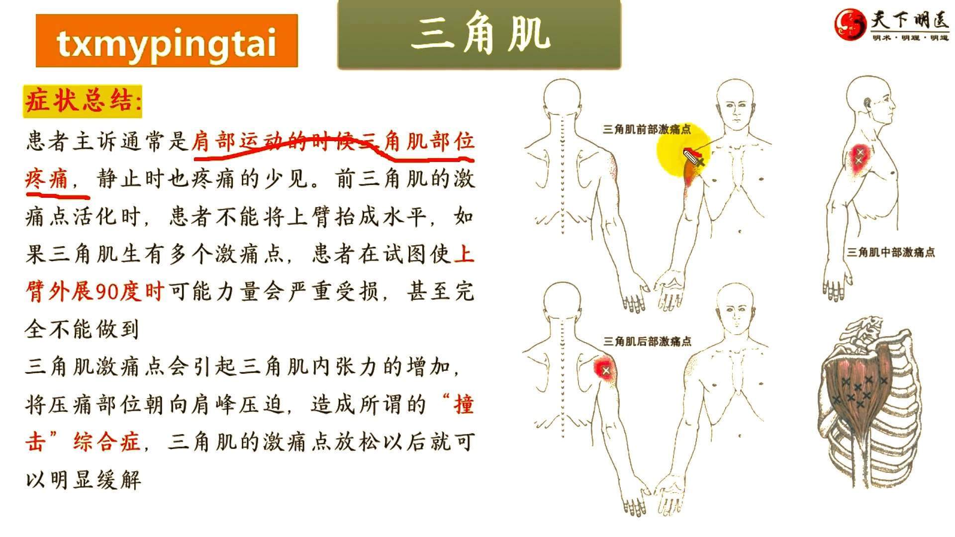 三角肌疼痛如何治疗图片