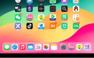 Download Video: 今天刚买的iPad mini6