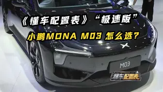 Download Video: 《懂车配置表》“极速版”小鹏MONA M03 怎么选？