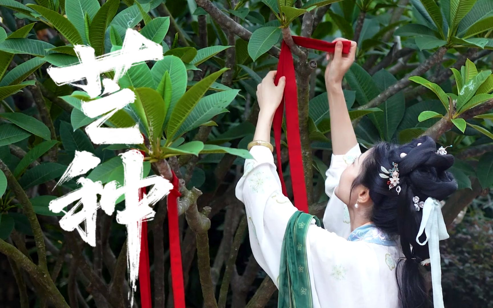 "芒"里偷闲:送花神,品青梅话芒种