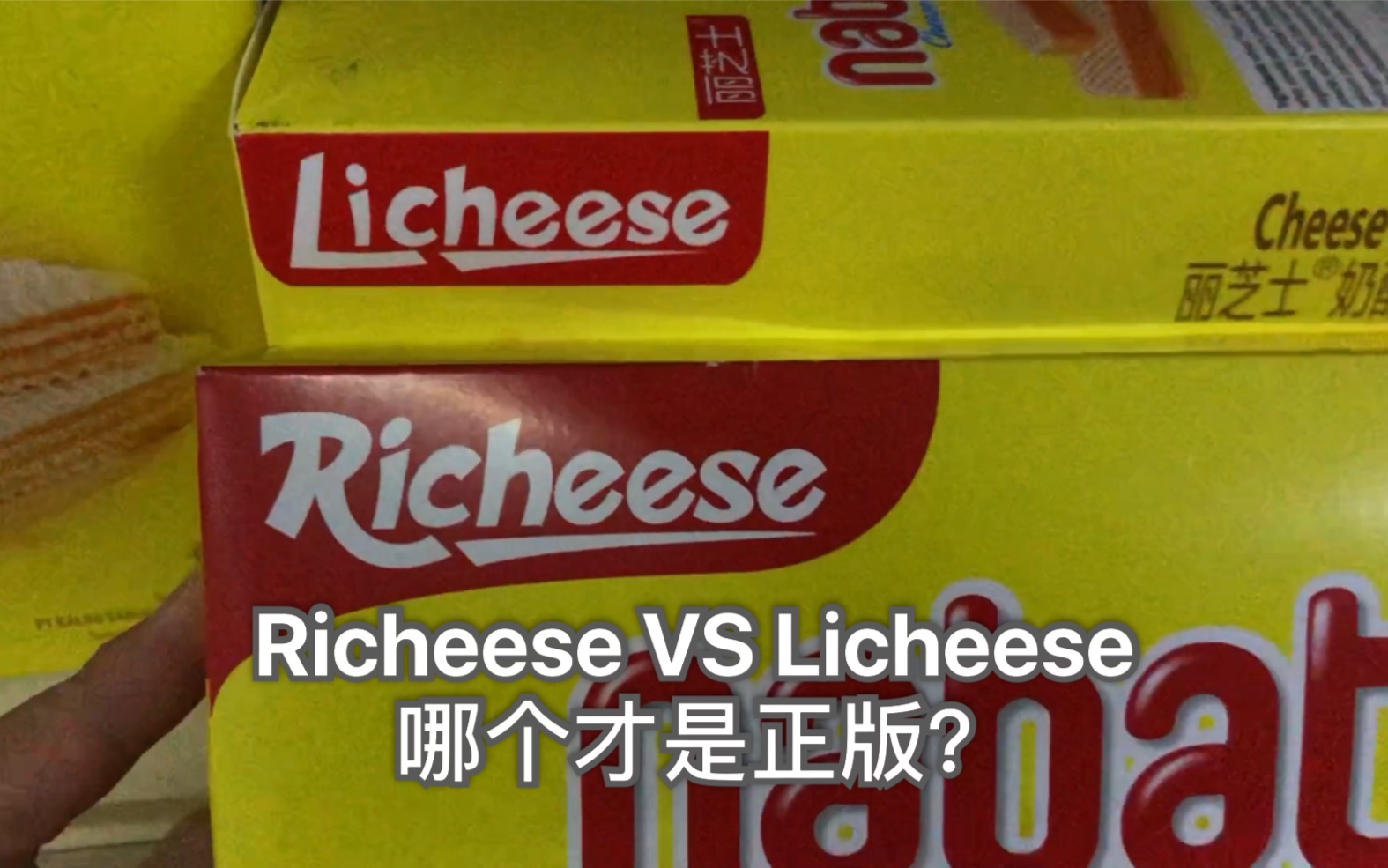 VLOG19Richeese和Licheese: 哪个才是真的「丽芝士」?哔哩哔哩bilibili